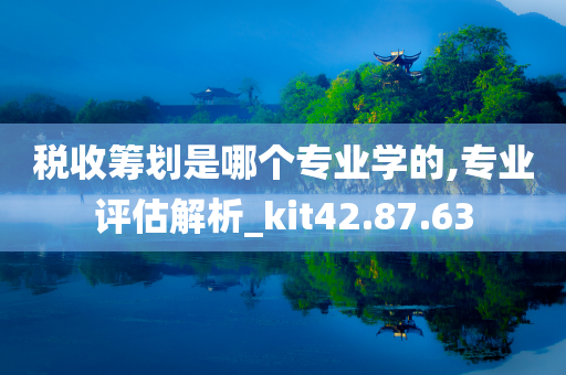 税收筹划是哪个专业学的,专业评估解析_kit42.87.63