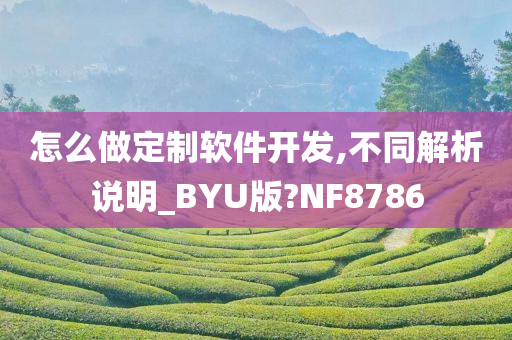 怎么做定制软件开发,不同解析说明_BYU版?NF8786