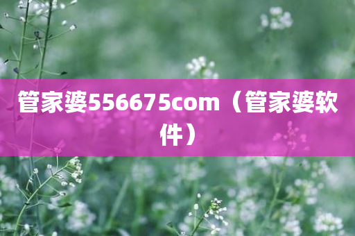 管家婆556675com（管家婆软件）