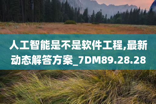 人工智能是不是软件工程,最新动态解答方案_7DM89.28.28