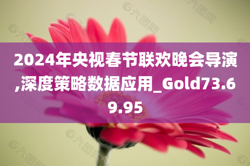 2024年央视春节联欢晚会导演,深度策略数据应用_Gold73.69.95