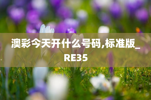 澳彩今天开什么号码,标准版_RE35