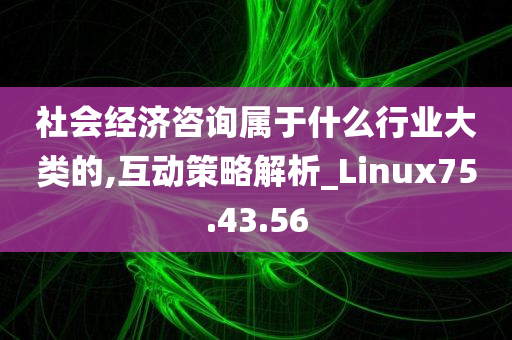 社会经济咨询属于什么行业大类的,互动策略解析_Linux75.43.56