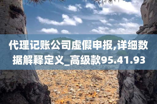 代理记账公司虚假申报,详细数据解释定义_高级款95.41.93