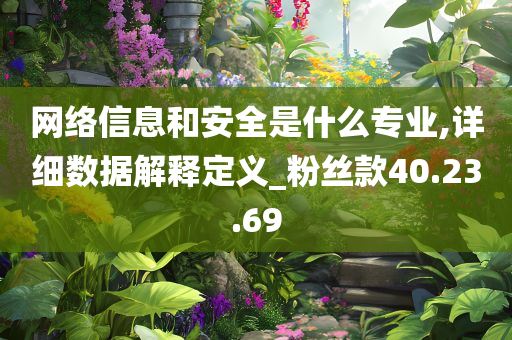 网络信息和安全是什么专业,详细数据解释定义_粉丝款40.23.69