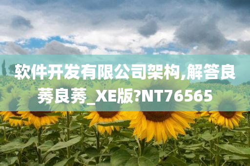 软件开发有限公司架构,解答良莠良莠_XE版?NT76565