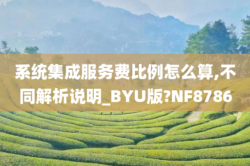 系统集成服务费比例怎么算,不同解析说明_BYU版?NF8786