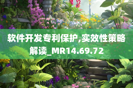 软件开发专利保护,实效性策略解读_MR14.69.72