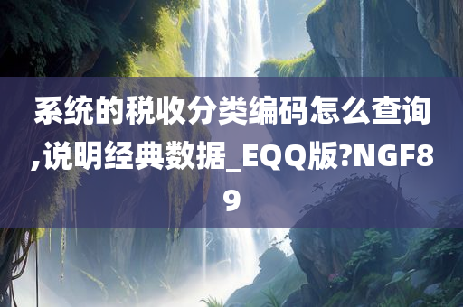 系统的税收分类编码怎么查询,说明经典数据_EQQ版?NGF89