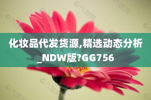 化妆品代发货源,精选动态分析_NDW版?GG756