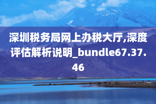 深圳税务局网上办税大厅,深度评估解析说明_bundle67.37.46