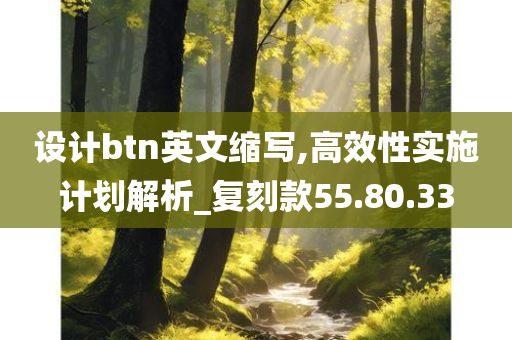 设计btn英文缩写,高效性实施计划解析_复刻款55.80.33