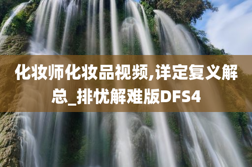 化妆师化妆品视频,详定复义解总_排忧解难版DFS4