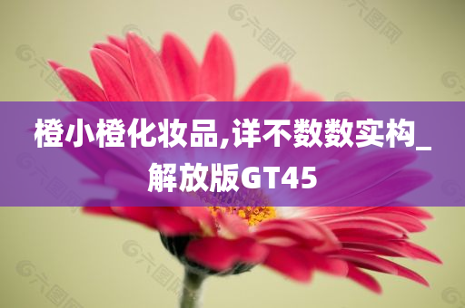 橙小橙化妆品,详不数数实构_解放版GT45