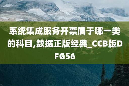 系统集成服务开票属于哪一类的科目,数据正版经典_CCB版DFG56