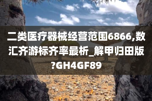 二类医疗器械经营范围6866,数汇齐游标齐率最析_解甲归田版?GH4GF89