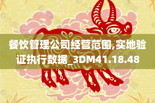 餐饮管理公司经营范围,实地验证执行数据_3DM41.18.48