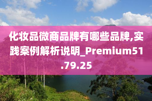 化妆品微商品牌有哪些品牌,实践案例解析说明_Premium51.79.25