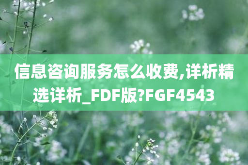 信息咨询服务怎么收费,详析精选详析_FDF版?FGF4543