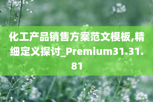 化工产品销售方案范文模板,精细定义探讨_Premium31.31.81