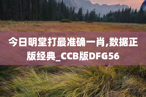 今日明堂打最准确一肖,数据正版经典_CCB版DFG56