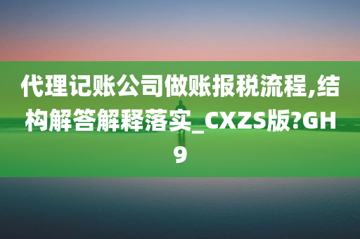 代理记账公司做账报税流程,结构解答解释落实_CXZS版?GH9