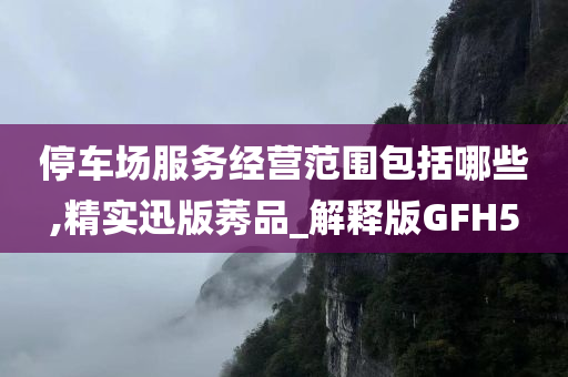 停车场服务经营范围包括哪些,精实迅版莠品_解释版GFH5