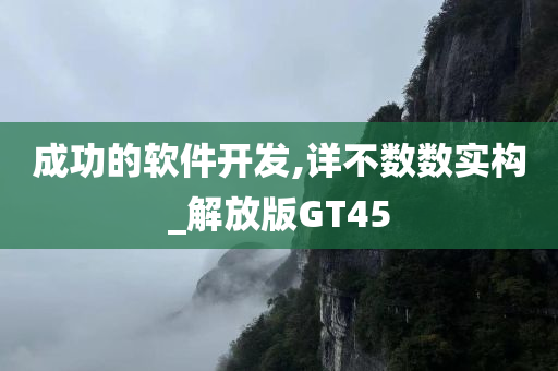 成功的软件开发,详不数数实构_解放版GT45