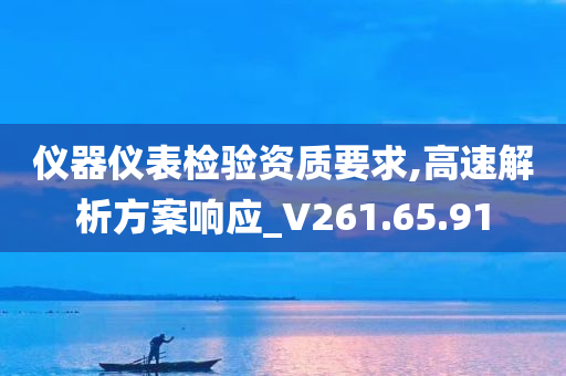 仪器仪表检验资质要求,高速解析方案响应_V261.65.91