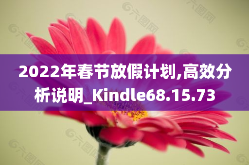 2022年春节放假计划,高效分析说明_Kindle68.15.73