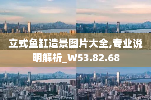 立式鱼缸造景图片大全,专业说明解析_W53.82.68