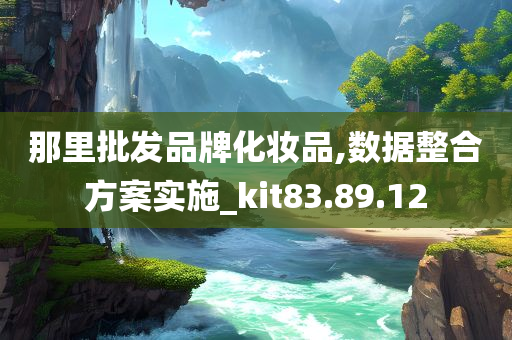 那里批发品牌化妆品,数据整合方案实施_kit83.89.12