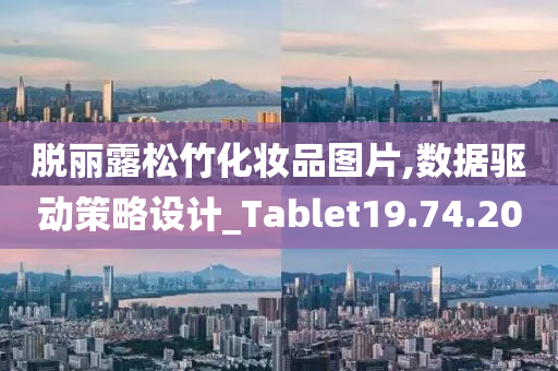 脱丽露松竹化妆品图片,数据驱动策略设计_Tablet19.74.20