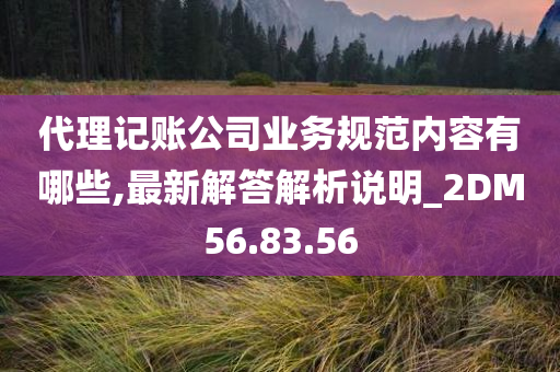 代理记账公司业务规范内容有哪些,最新解答解析说明_2DM56.83.56