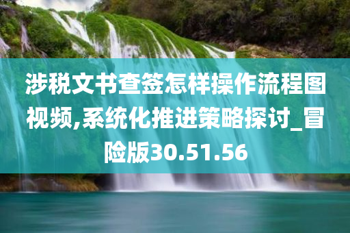 涉税文书查签怎样操作流程图视频,系统化推进策略探讨_冒险版30.51.56