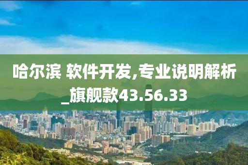 哈尔滨 软件开发,专业说明解析_旗舰款43.56.33