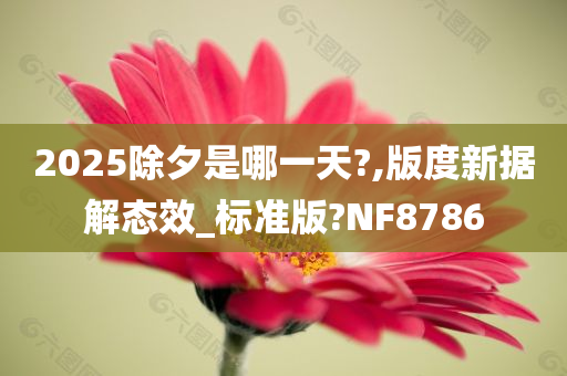 2025除夕是哪一天?,版度新据解态效_标准版?NF8786