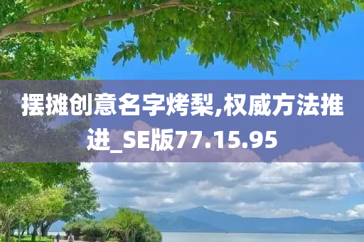 摆摊创意名字烤梨,权威方法推进_SE版77.15.95