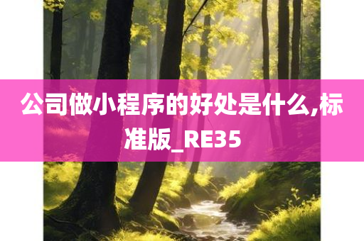 公司做小程序的好处是什么,标准版_RE35