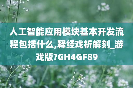 人工智能应用模块基本开发流程包括什么,释经戏析解刻_游戏版?GH4GF89