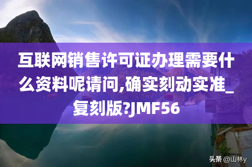 互联网销售许可证办理需要什么资料呢请问,确实刻动实准_复刻版?JMF56