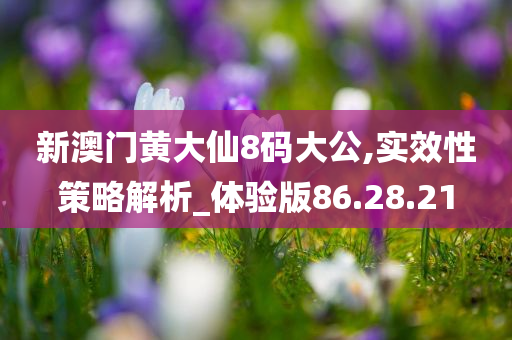 新澳门黄大仙8码大公,实效性策略解析_体验版86.28.21