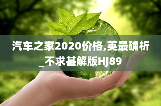 汽车之家2020价格,英最确析_不求甚解版HJ89