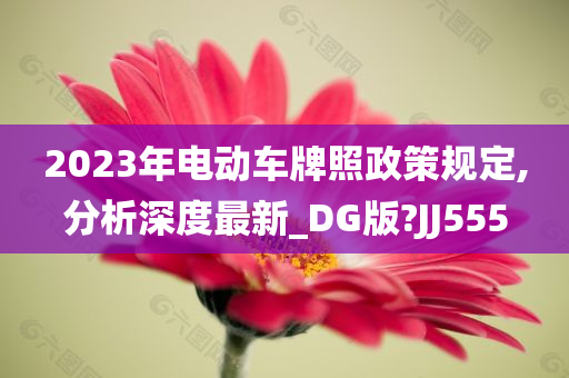 2023年电动车牌照政策规定,分析深度最新_DG版?JJ555