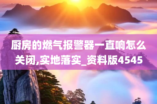 厨房的燃气报警器一直响怎么关闭,实地落实_资料版4545