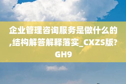 企业管理咨询服务是做什么的,结构解答解释落实_CXZS版?GH9