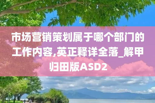 市场营销策划属于哪个部门的工作内容,英正释详全落_解甲归田版ASD2