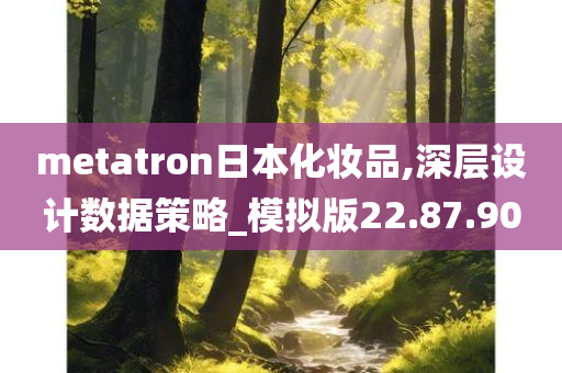 metatron日本化妆品,深层设计数据策略_模拟版22.87.90