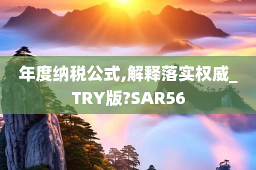 年度纳税公式,解释落实权威_TRY版?SAR56