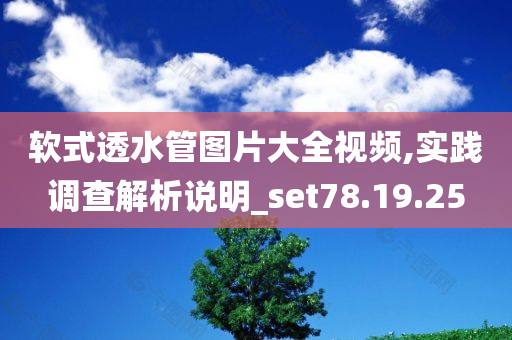 软式透水管图片大全视频,实践调查解析说明_set78.19.25